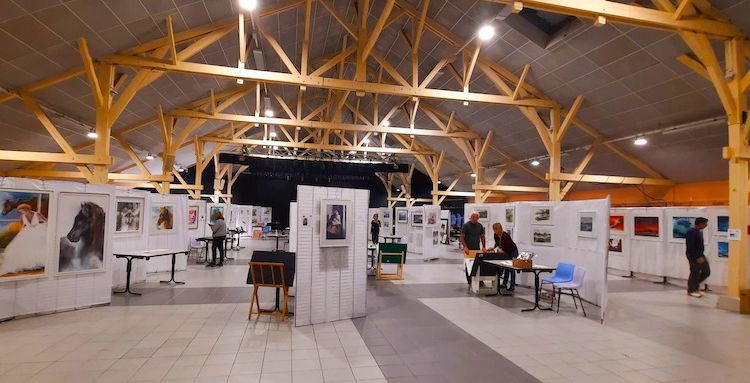 LANDES AQUARELLES - Un évènement atypique et hors du temps à Morcenx